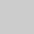 Light grey 004